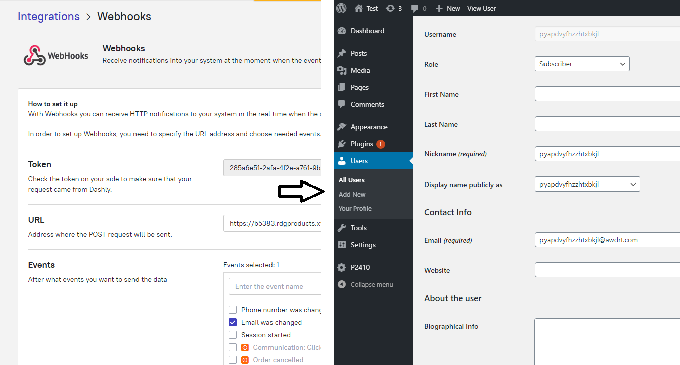 Webhook do Dashly acionando a criação automática de conta no WordPress – usuário de teste gerado após envio de email no chatbot.